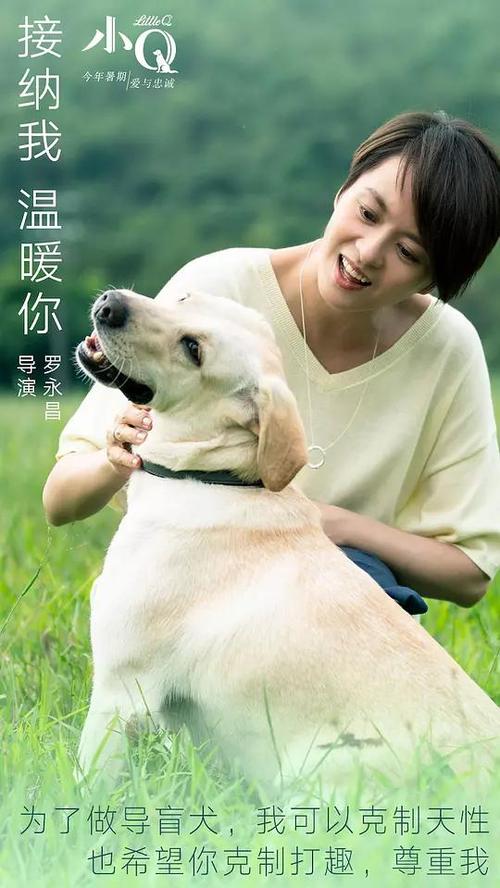 曼图亚音乐学院diploma购买